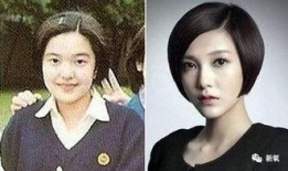 港星整容爆料事件视频,揭秘娱乐圈美容秘密